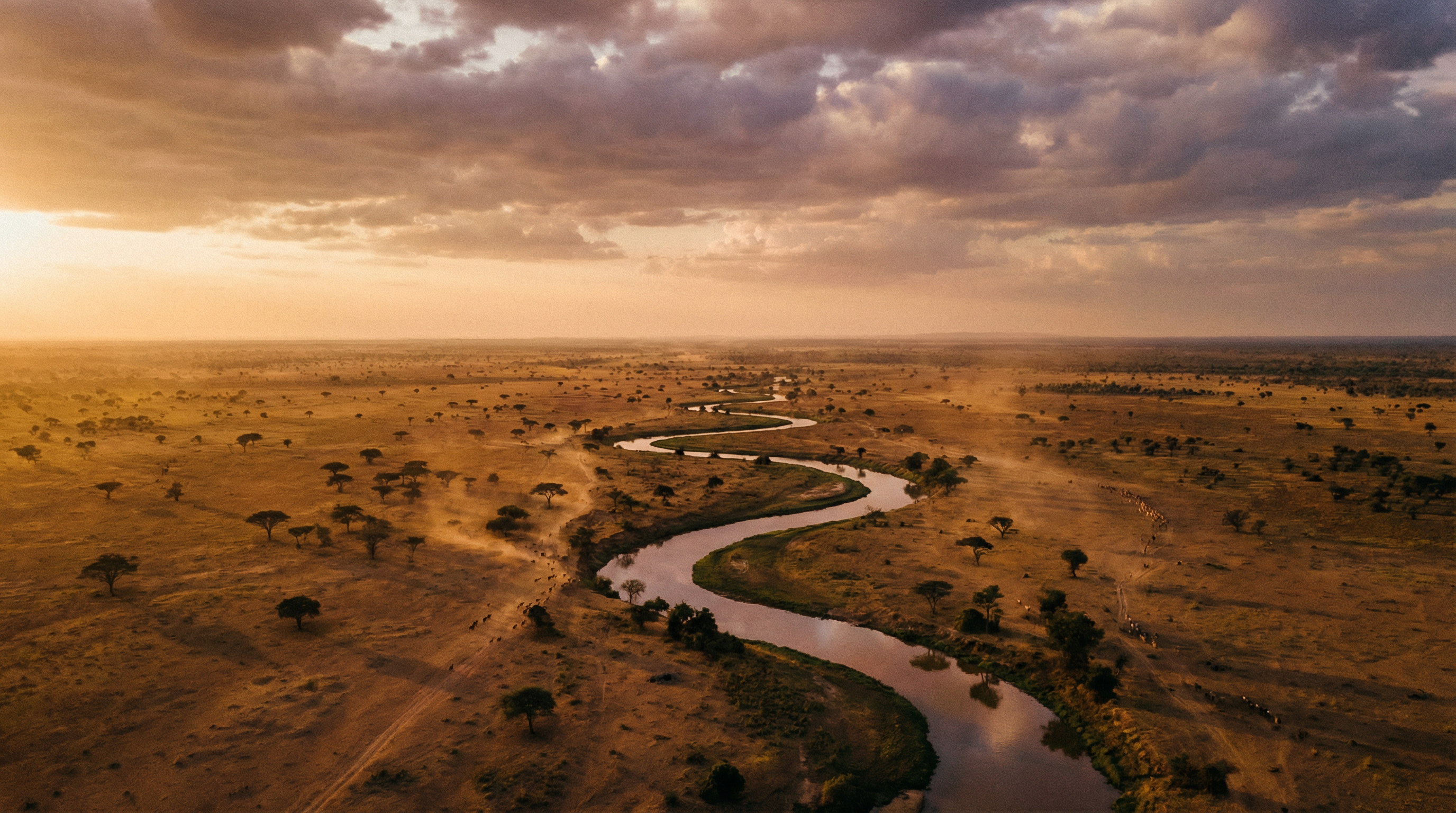 South Sudan landscape